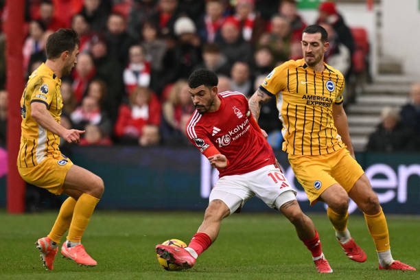 部灵活而具 部灵活而具